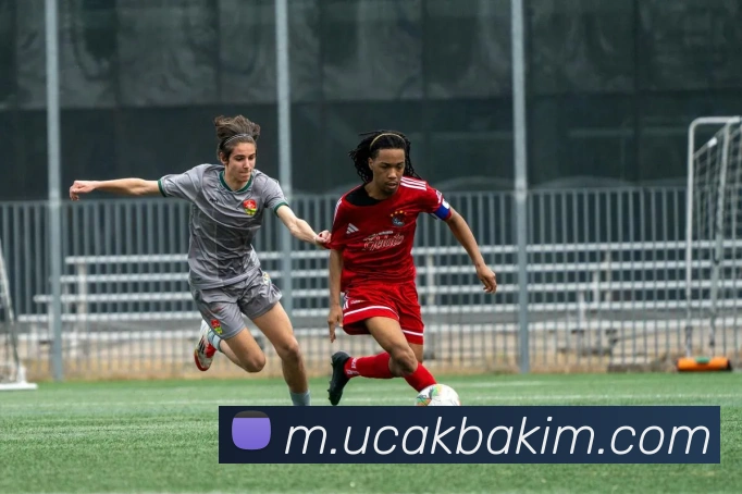 App 展示图